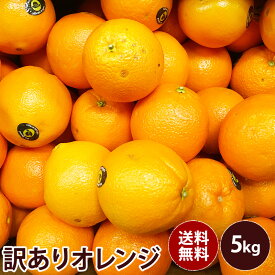 楽天市場 オレンジ フルーツ 果物 食品 の通販