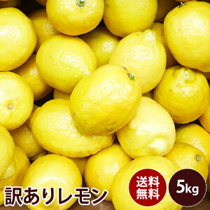 レモン 果物の人気商品 通販 価格比較 価格 Com