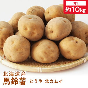  kCY n鏒 j݂Ȃǁ@GS 5kg /GS 10kg /G M 5kg/ G M 10kg /GL 5kg /GL10kg /G2L 5kg/ G2L 10kg kCY Ⴊ j Ƃ⑗