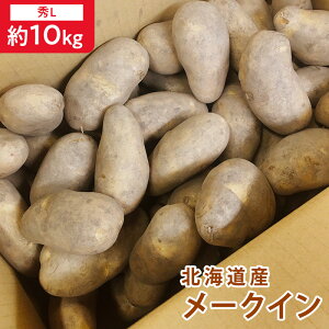  kCY [NC@GS 5kg /GS 10kg /G M 5kg/ G M 10kg /GL 5kg /GL10kg /G2L 5kg/ G2L 10kg /kCY Ⴊ [NC