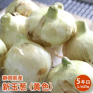 販売開始【静岡県浜松市産】新玉葱（黄色）5キロ　静岡新たまねぎ　たまねぎ　玉葱　玉ネギ　玉ねぎ　タ…