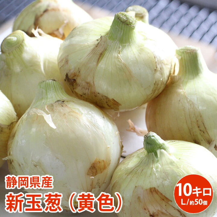 楽天市場】販売開始【静岡県浜松市産】新玉葱（黄色）10キロ L 約50個 