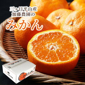 【2025 11月下旬より入荷次第順次発送】【数量限定】三ヶ日平山産加藤柑橘園の早生みかん 5kg 10kg 秀S 秀M 秀L 秀2L みかん 静岡県産 みかん ミカン 蜜柑 不知火 フルーツ ギフト プレゼント 送料無料