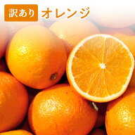 【オーストラリア産 】訳ありオレンジ 2kg 3kg 4kg 大特価 送料無料　訳あり ギフト 果物 フルーツ ネー…