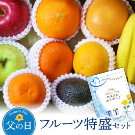 【2026父の日】詰め合わせ はまべじフルーツ特盛セット 送料無料フルーツ 盛り合わせ ギフト（母の日・父の日・御中元・御歳暮・お彼岸・お見舞い等々 敬老の日）
