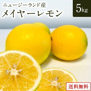 j[W[hY C[ 2kg 3kg 5kg  IW Mtg ʕ t[c