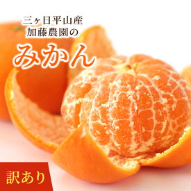 【11月下旬より入荷次第順次発送】【訳あり】三ヶ日平山産加藤柑橘園の早生みかん 5kg 10kg みかん 静岡県産 みかん ミカン 蜜柑 フルーツ 自宅用 送料無料