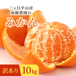 y11{׎揇zy󂠂zORYk݂̑ 5kg 10kg ݂ ÉY ݂ ~J  t[c p 