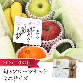 【2026母の日】旬のフルーツセットミニサイズ　母の日 フルーツ 果物 セット 詰め合わせ ギフト プレゼント 贈答用 手土産 ご褒美 ラッピング対応 ギフト対応 送料無料 熨斗 メッセージカード 人気 フルーツ盛り合わせ