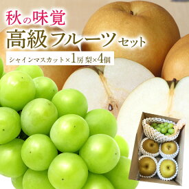 送秋の味覚 高級フルーツセット【長野県】シャインマスカット　1房450g以上 4玉1.2キロ　2房梨5玉1.5キロ 敬老の日ギフト メッセージ 秋ギフト 果物 詰め合わせ （品種 南水）（敬老の日)