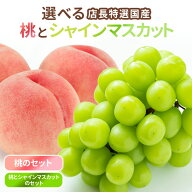 【山梨県 長野県産】選べる ギフト 特秀 桃 シャインマスカット セット 食べ比べ 送料無料 もも モモ お…