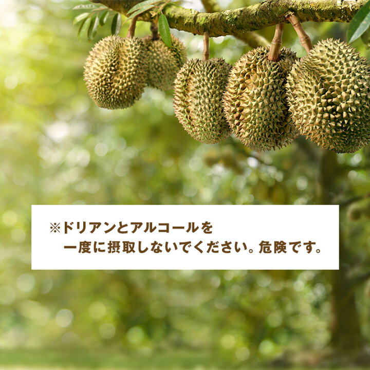 楽天市場】ドリアン 【ベトナム産】2kg 8kg 果物の王様 送料無料 