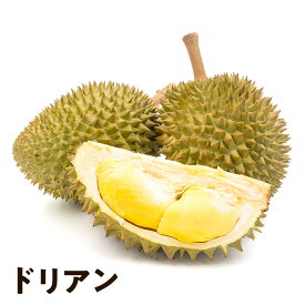 ドリアン 【ベトナム産】2kg 8kg 果物の王様 送料無料 dorian pine 甘い 果物 フルーツ 生 くせになる 匂い 香り フレッシュ 糖度 送料無料 Lサイズ そのまま プレゼント お歳暮 贈答用 熟すまでしばらくかかる場合あります。トロピカルフルーツ