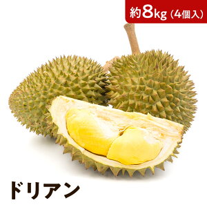 hA yxgiYz2kg 8kg ʕ̉l  dorian pine Â ʕ t[c  ɂȂ   tbV x  LTCY ̂܂ v[g Ε p n܂ł