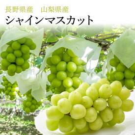 【 長野県産　山梨県産 】シャインマスカット 4L 3L秀品　約1.2キロ　約2キロぶどうシャインマスカット フルーツ ギフト プレゼント送料無料 プレゼント お歳暮