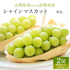 2026年 ギフト 【山梨産 長野産】シャインマスカット 秀品 2房(400g×2 /500g×2) 贈答用 御中元 御歳暮 父の日 敬老の日 葡萄 ぶどう ブドウ プレゼント 御礼 御祝 御供 果物 くだもの フルーツ
