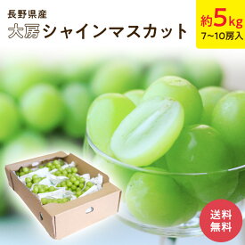 【長野県産】シャインマスカット 5キロ (7〜10房入り) ぶどう シャインマスカット フルーツ ギフト プレゼント 送料無料 贈答用