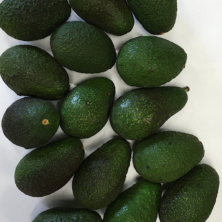 市場 サクラ印フレッシュ カナダブリテッシュコロンビア州産 ブルーベリーはちみつシロップ漬け780gフルーツソース 市場 サクラ印フレッシュ カナダブリテッシュコロンビア州産 ブルーベリーはちみつシロップ漬け780gフルーツソース