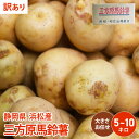 【静岡県 浜松産】【訳あり】　男爵　三方原馬鈴薯 5kg 10kg じゃがいも 野菜 ジャガイモ 送料無料