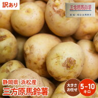 【静岡県 浜松産】【訳あり】　男爵　三方原馬鈴薯 5kg 10kg じゃがいも 野菜 ジャガイモ 送料無料