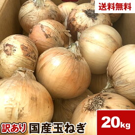 【北海道産】訳あり たまねぎ 5kg 10kg 20kg 玉ねぎ タマネギ 送料無料