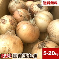訳あり 北海道産 たまねぎ 5kg 10kg 20kg 玉ねぎ タマネギ 送料無料