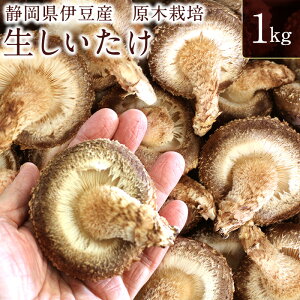 yÉɓYz ؍͔|  1kg  ̂ LmR