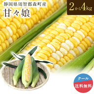 【2026 6月初旬より入荷次第順次発送】【静岡県周智郡森町産】甘々娘 2kg 5本～7本入 3kg 7本～10本入 4k…