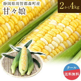 【2026 6月初旬より入荷次第順次発送】【静岡県周智郡森町産】甘々娘 2kg 5本～7本入 3kg 7本～10本入 4kg 10本～14本入 トウモロコシ スイートコーン スイーツコーン フルーツコーン とうもろこし 野菜 甘い クール便 送料無料　静岡県森町産 朝採り 数量限定