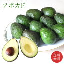 【ペルー産】 アボカド 1個150g 6個 12個 30個 送料無料 アボカド 果物 フルーツ ギフト 贈り物 贈答品 お中元 avocad…
