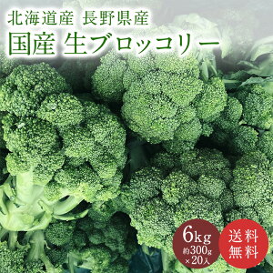 国産 生ブロッコリー 約6kg (300g×20入り) 送料無料 熊本県産 北海道産 長野県産 ブロッコリー 野菜 緑黄色野菜 サラダ アヒージョ まとめ買い