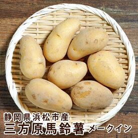 【静岡県 浜松市産】 三方原馬鈴薯 メークイン 秀品 S M L 2L 3L 5kg 10kg じゃがいも 野菜 ジャガ イモ 送料無料
