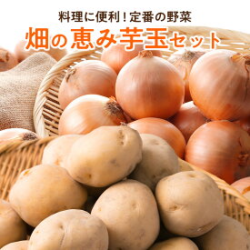畑の恵み 芋玉セット 2kg 4kg 10kg じゃがいも 玉ねぎ セット