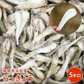 【静岡県産】 らっきょう 5kg 送料無料　国産らっきょう らっきょう らっきょ