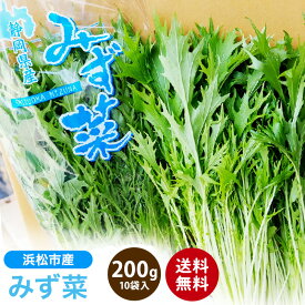 【浜松市産】 水菜 200g 10入り 約2kg みずな みず菜 サラダ 送料無料 mizuna 野菜 キョウナ 京菜 ヒイラギナ 柊菜 センスジナ 千筋菜 はりはり鍋
