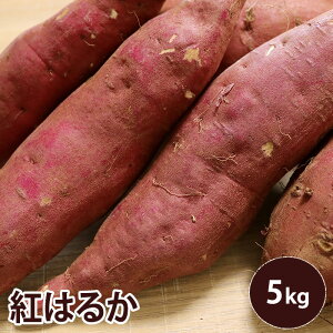 yt@錧Yzg͂邩 5L@MTCY@20{ Tc}C ܂ F