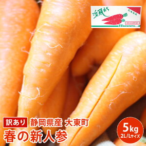 �y��A���z �É����Y�@�哌�����l�g���@�t�̐V�l�Q 5kg 2L L