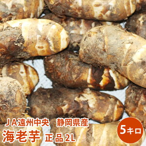 2025,10,{  JAB ÉY@CV@i2L 5Lт350gȏ500g1215