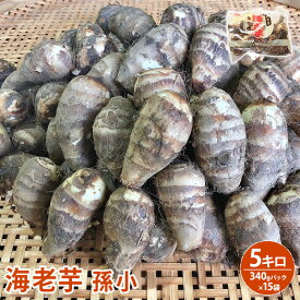 2026年1月8日より入荷次第順次発送【静岡県産】送料無料 【期間限定】海老芋 孫小 5キロ　340gパック　15袋入りえびいも送料無料