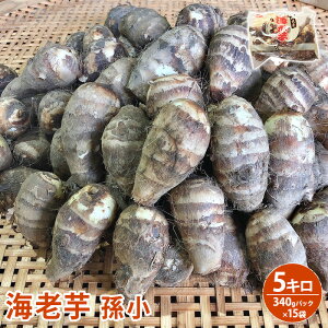 2025.10{׎揇yÉYz yԌzCV  5L@340gpbN@15ܓ肦т