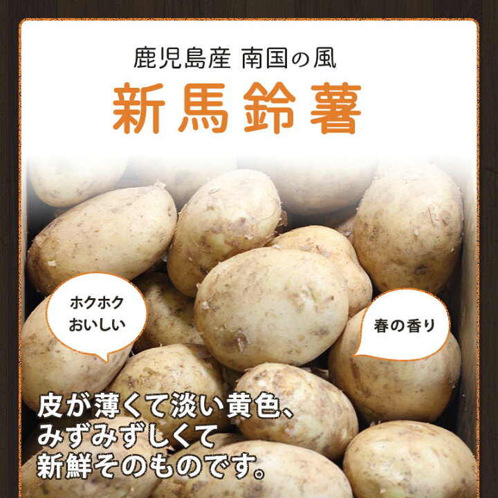 楽天市場 鹿児島産 新じゃが 新馬鈴薯 南国の風 5kg Lサイズ 約40個入 野菜 じゃがいも ジャガイモ 送料無料 はまべじ
