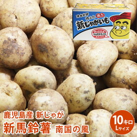【鹿児島産】新じゃが 新馬鈴薯 南国の風 10kg Lサイズ 約80個入 野菜 じゃがいも ジャガイモ 送料無料