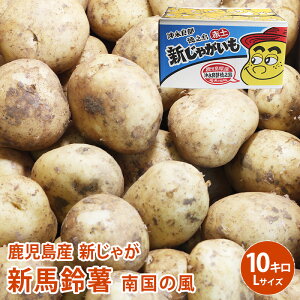 じゃがいも 10kg 送料無料の人気商品 通販 価格比較 価格 Com