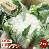 【クール便】 徳島県産 カリフラワー 5玉から8玉入 花椰菜 花キャベツ cauliflower 野菜 送料無料