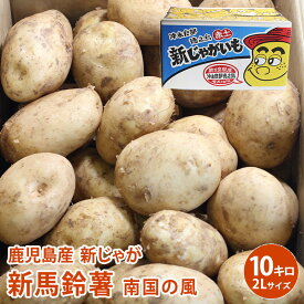 【鹿児島産】新じゃが 新馬鈴薯 南国の風 10kg 2L 約50個入 野菜 じゃがいも ジャガイモ 送料無料
