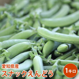 楽天市場 野菜 きのこ 種類 えんどう スナップえんどう 食品 の通販 楽天市場 野菜 きのこ 種類 えんどう スナップえんどう 食品 の通販