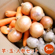 芋・玉・人参セット　5キロ 馬鈴薯 玉葱 人参 送料無料 野菜 じゃがいも にんじん たまねぎ セット 男爵 …