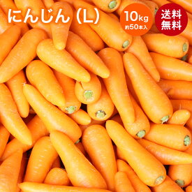 【国産】正品にんじん 10kg Lサイズ 約50本入 送料無料 ニンジン 人参 carrot