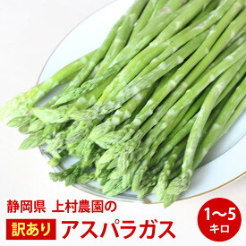 【クール便】静岡県磐田市上村農園 訳あり アスパラガス グリーンアスパラガス 1kg 2kg 5kg 詰 青果 野菜 送料無料 今期販売スタート
