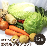 はまべじ　野菜もりもりセット 12種　送料無料野菜 盛り合わせ ギフト（母の日 父の日 御中元 お中元 御…